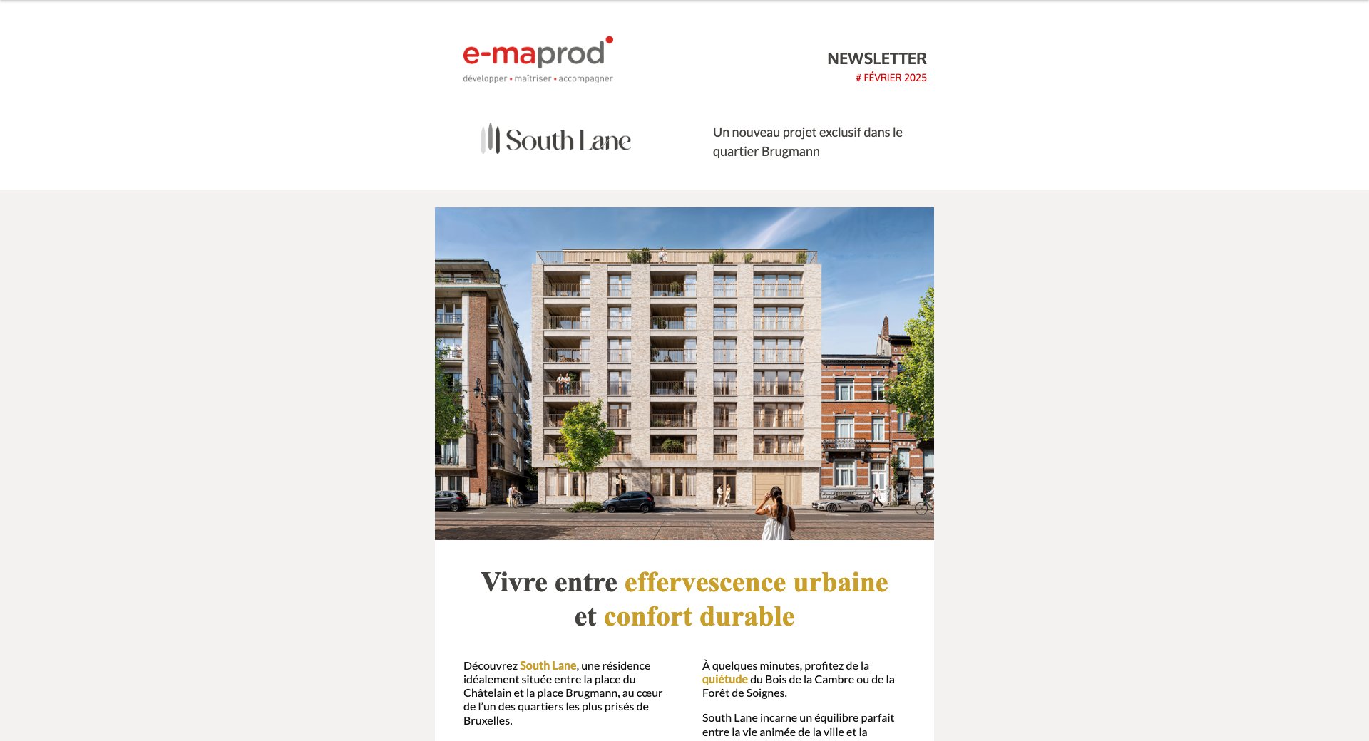 South Lane – entre Châtelain et Brugmann — capture intégrale de la newsletter